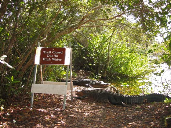 Trail closed due to high water?